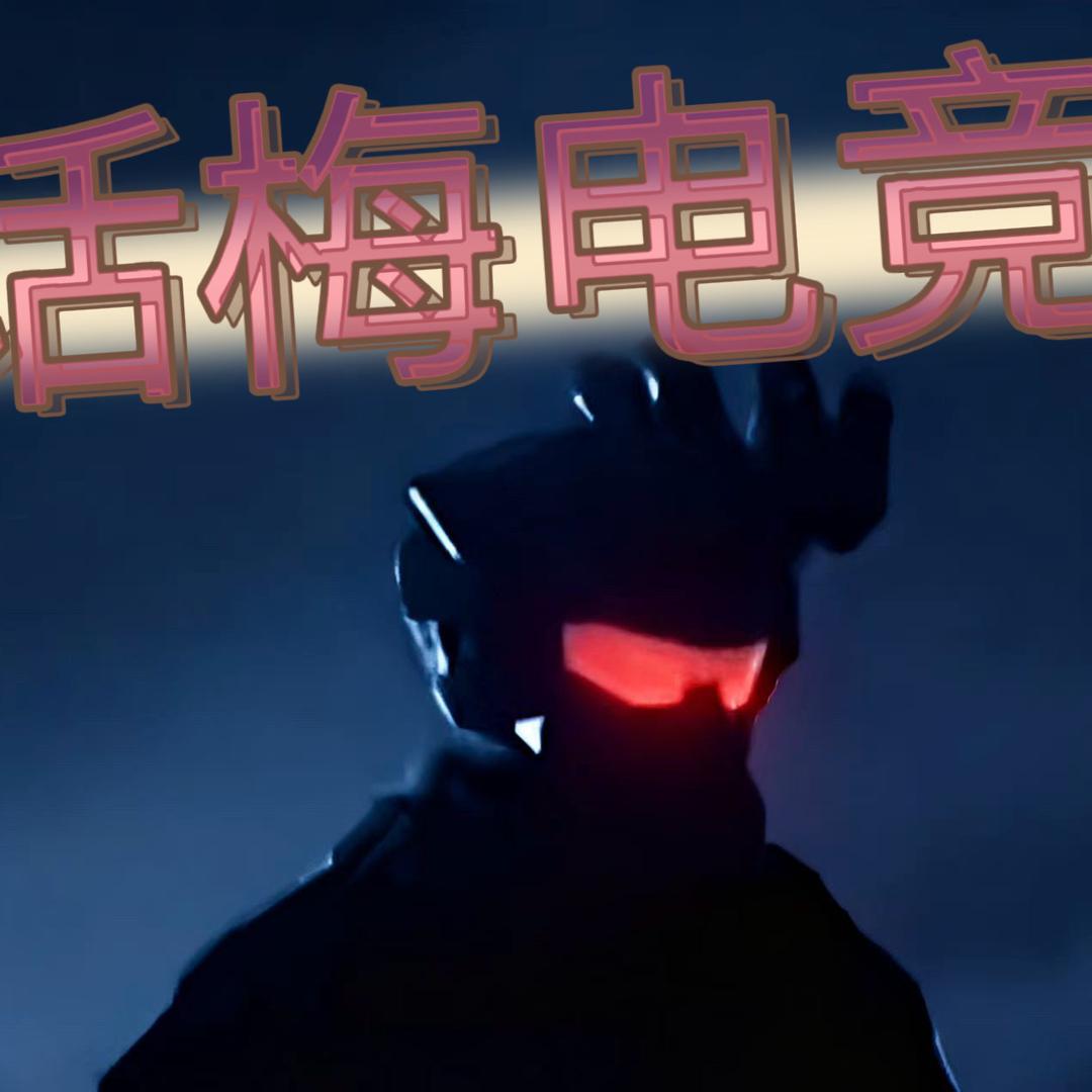 话梅电竞俱乐部