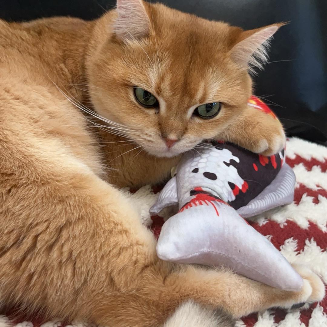 布里丘丘迪布利多