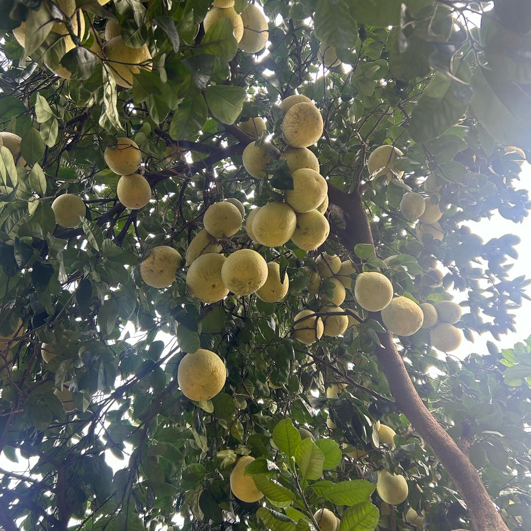 ᐜ💋等风也等你⁵²⁰