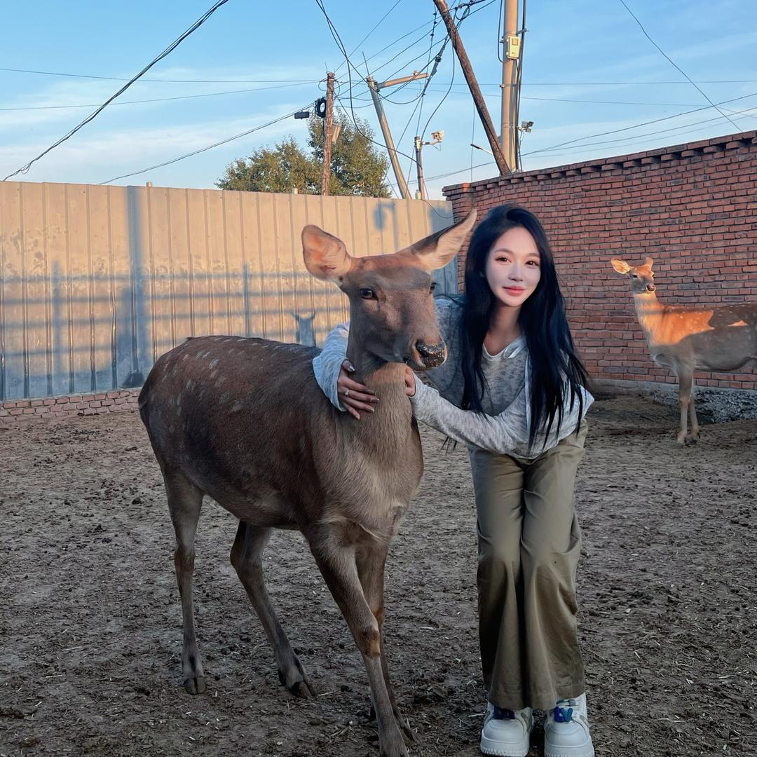 养鹿的卢卢🦌