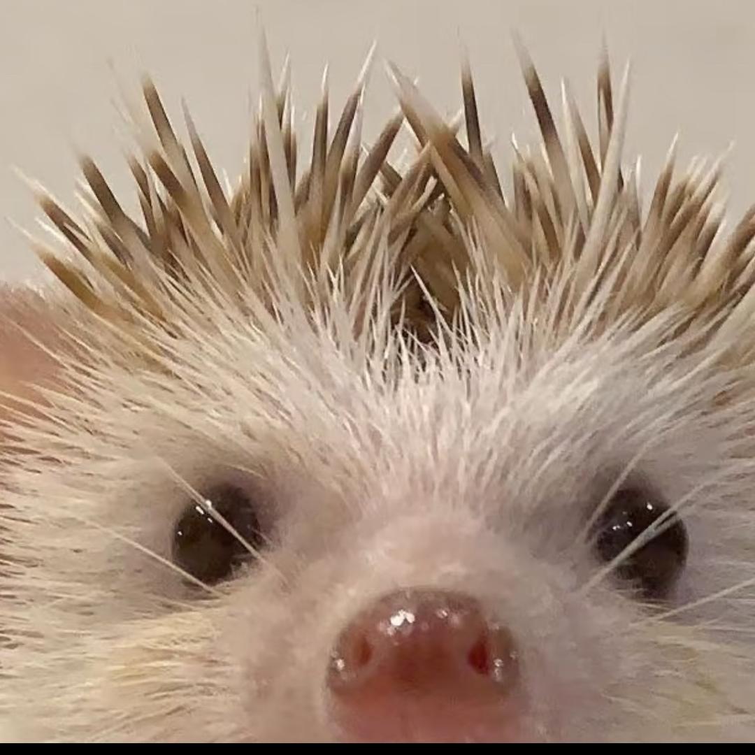 JoeyYY
