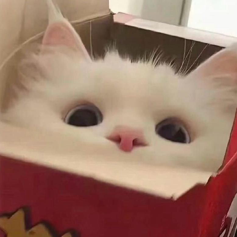 小少爷