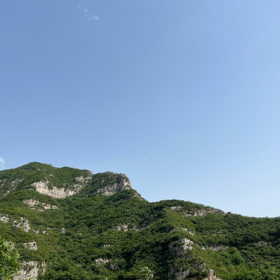 洛阳嘉隆阿豪劳务