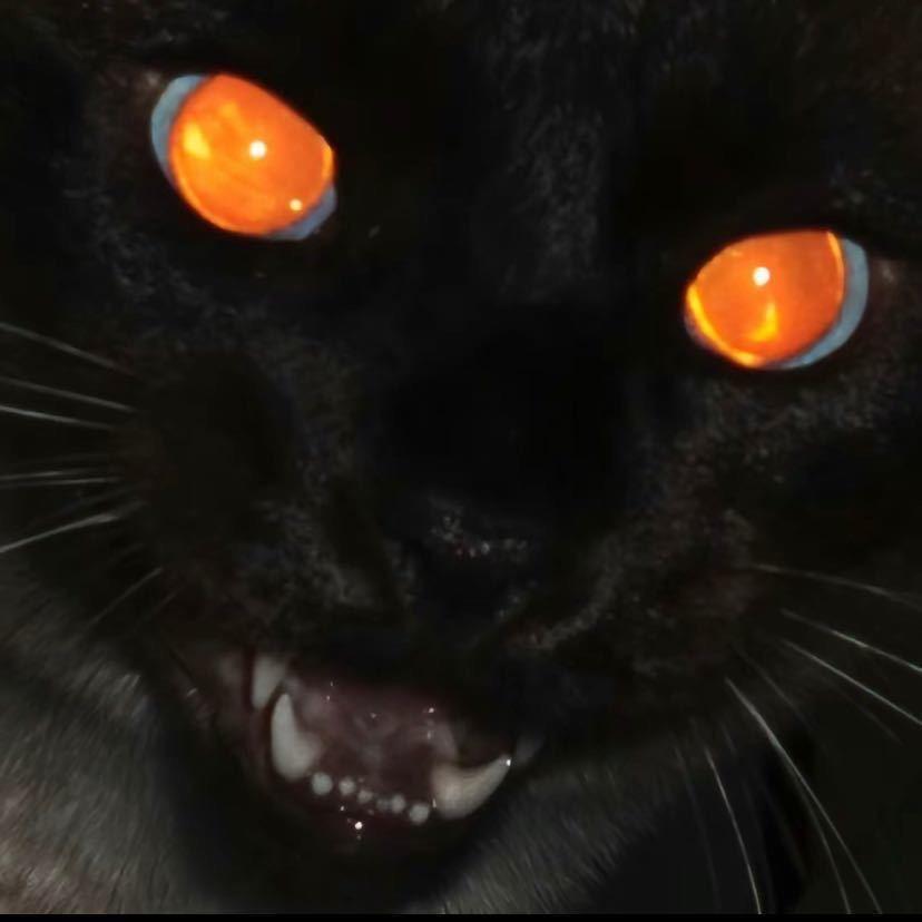 777777