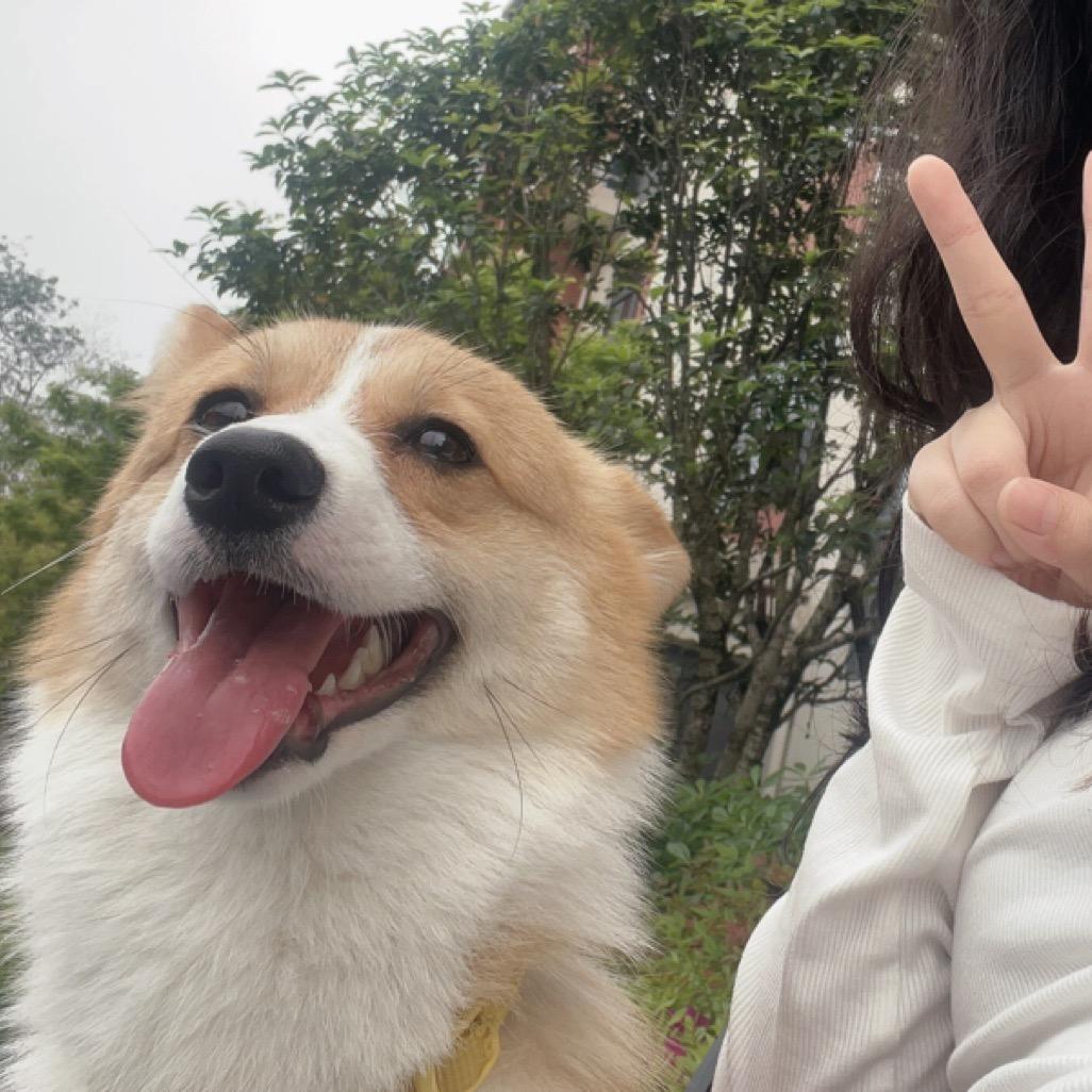 小陈不吃香菜（见过虞书欣汪苏泷版）