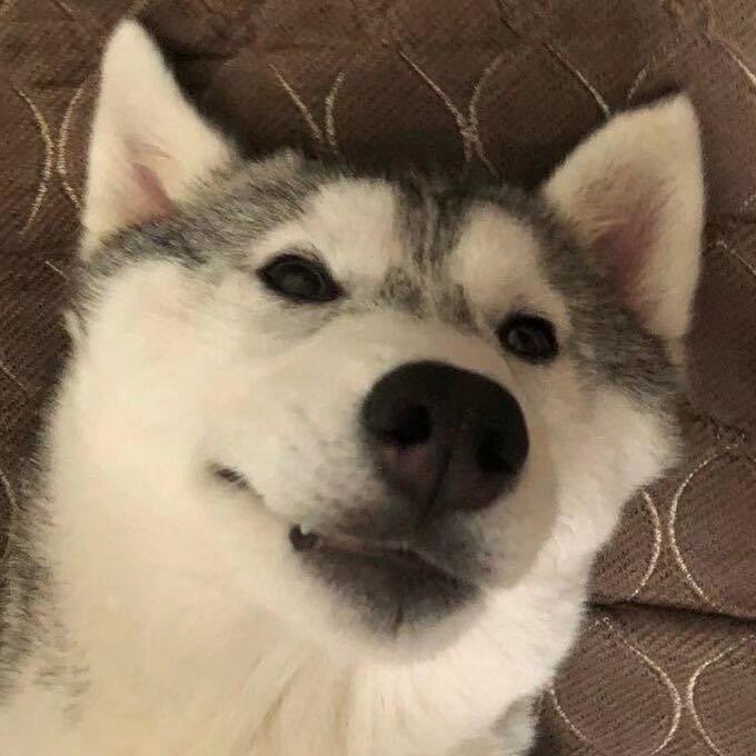 🌈^开心超人^🌈