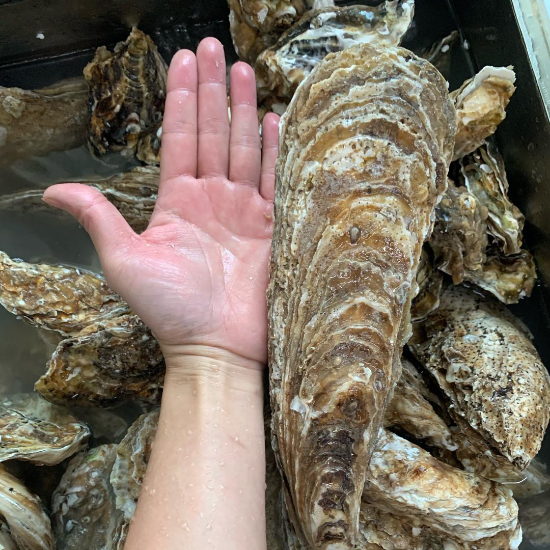 佛冈县石角镇天鲜配餐饮店