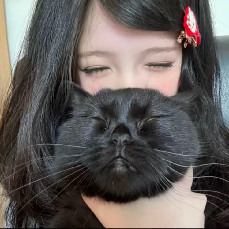 梨花诗