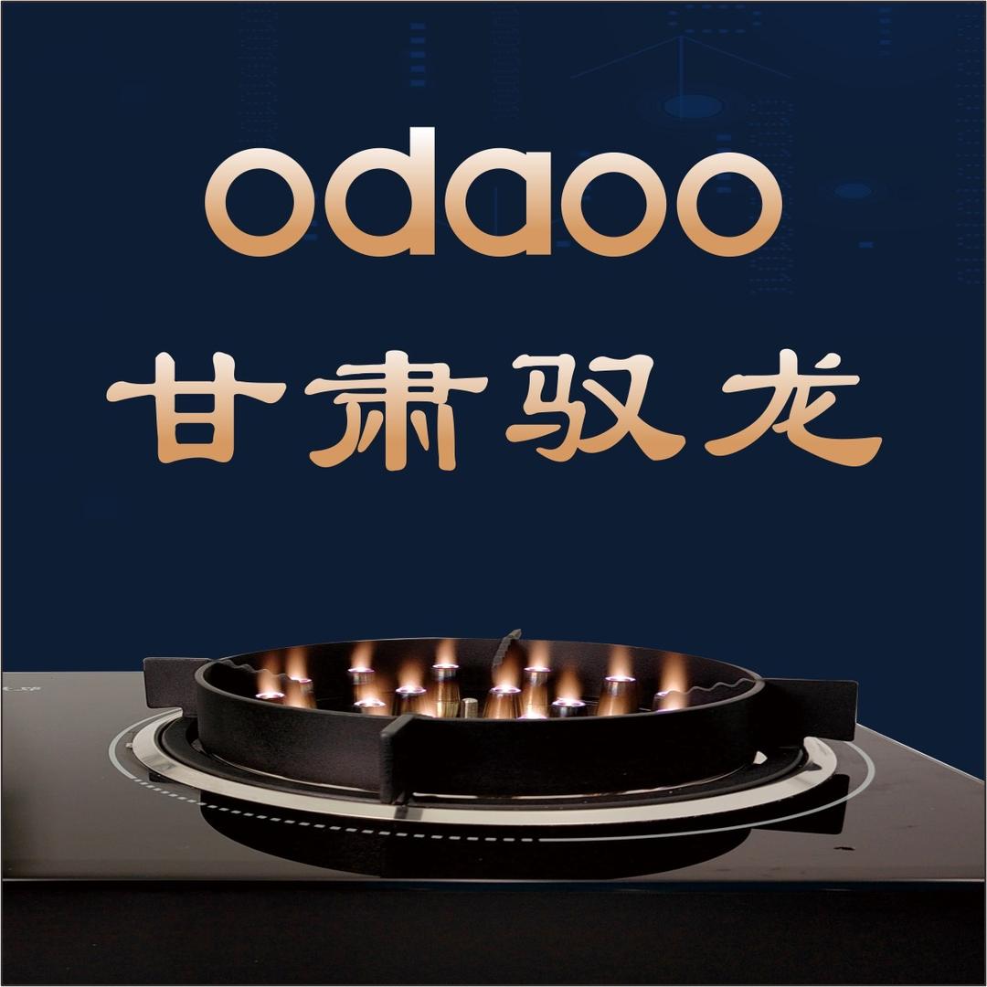 甘肃驭龙电火灶