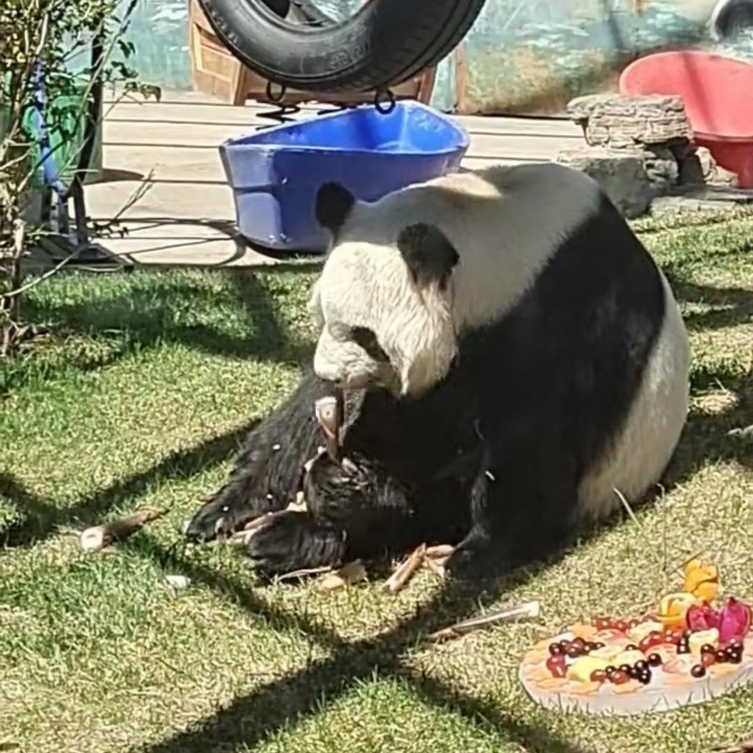 @҈҉҈҉҈҉҈҉҈҉҈҉𓆡