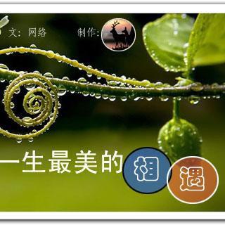 瞻仰