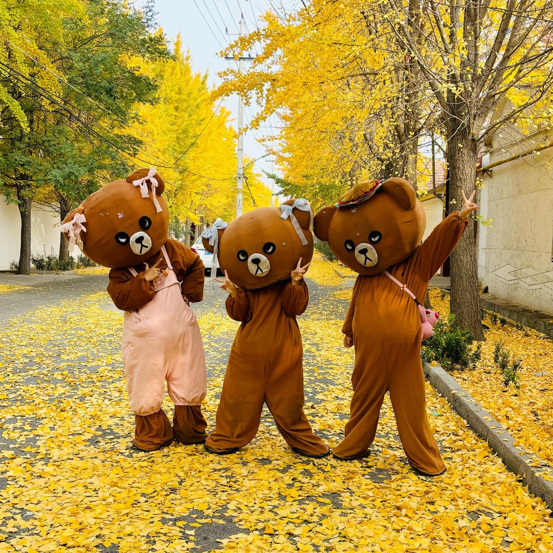 萌宝熊户外🐻