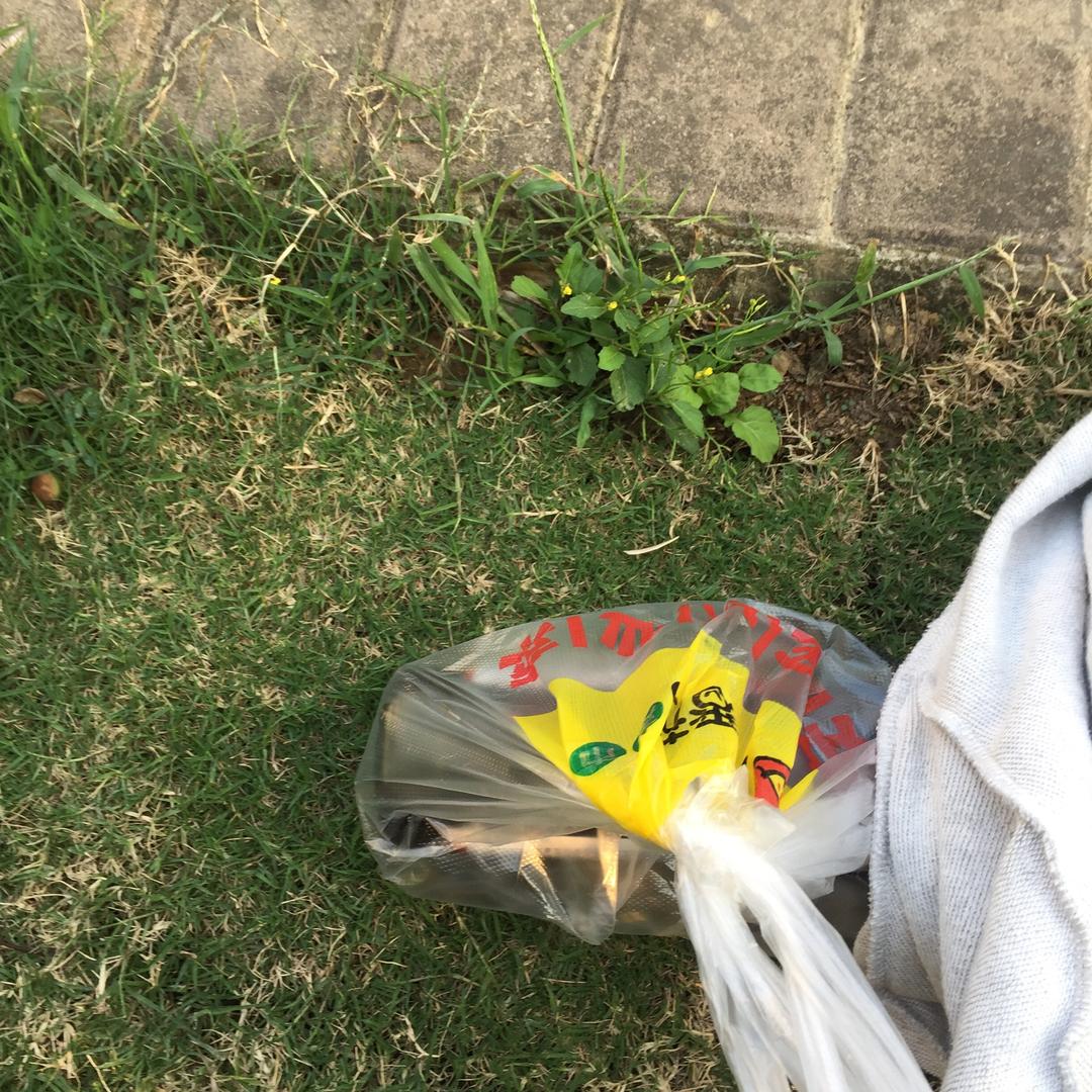 你好吗👋？
