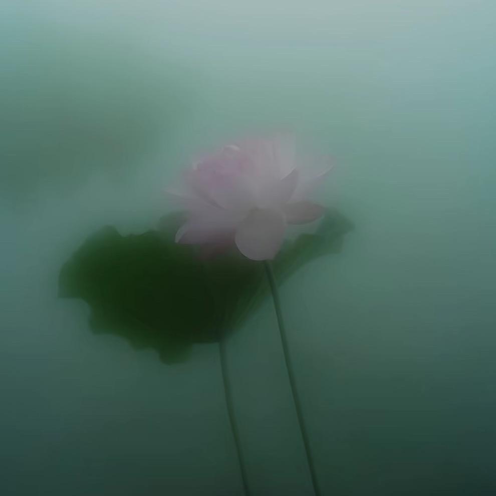 知梧