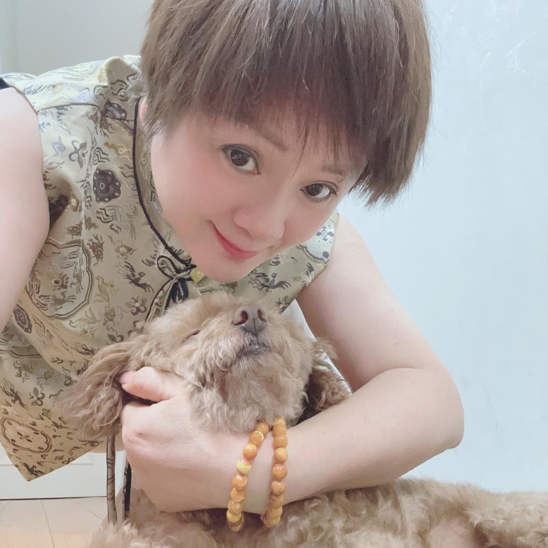 🍁梅🌸嬿🌈🌺