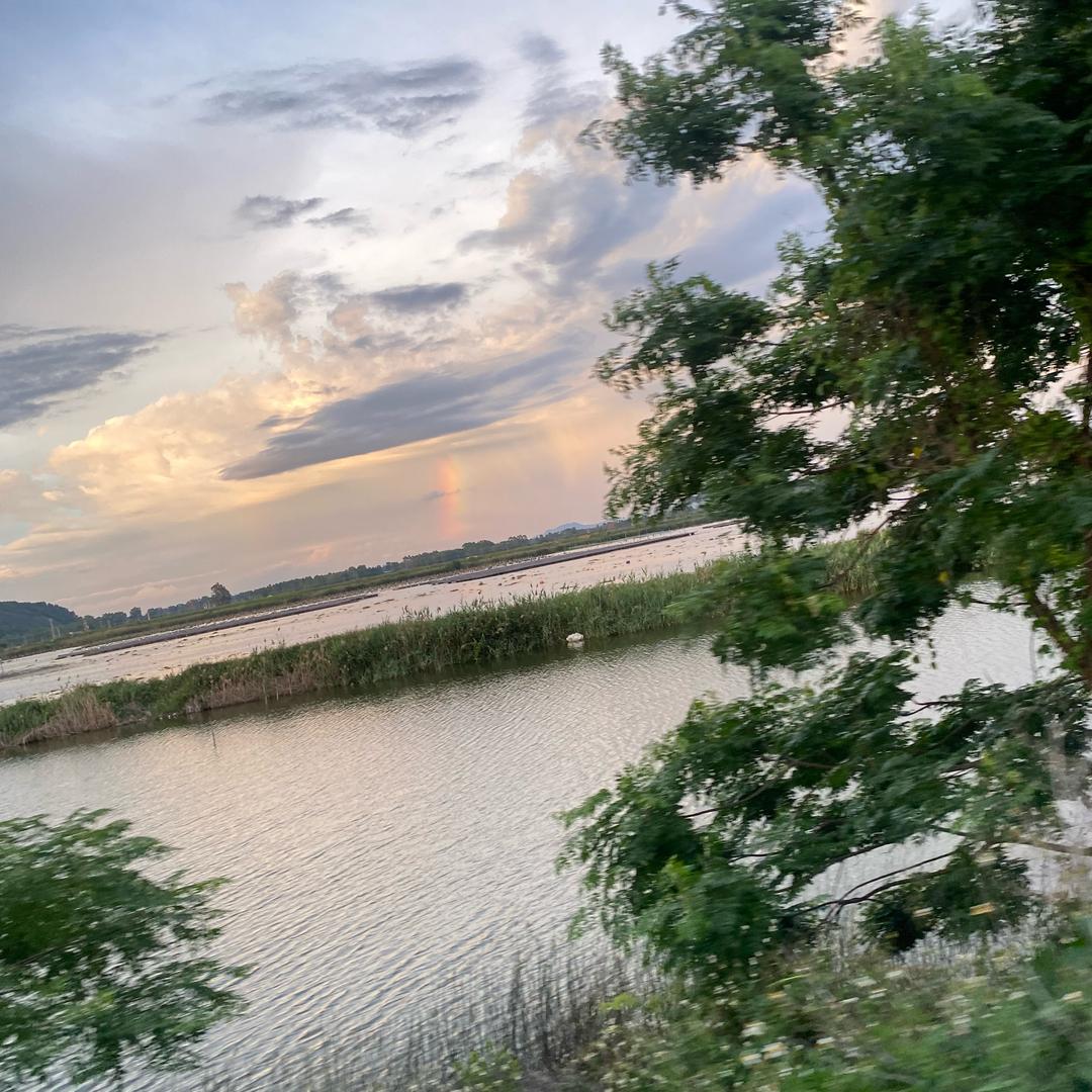小兔子