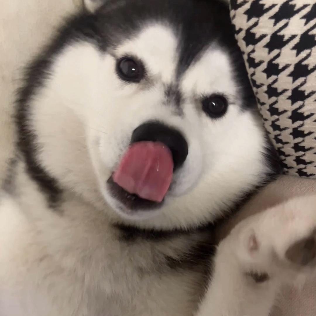二四宝贝