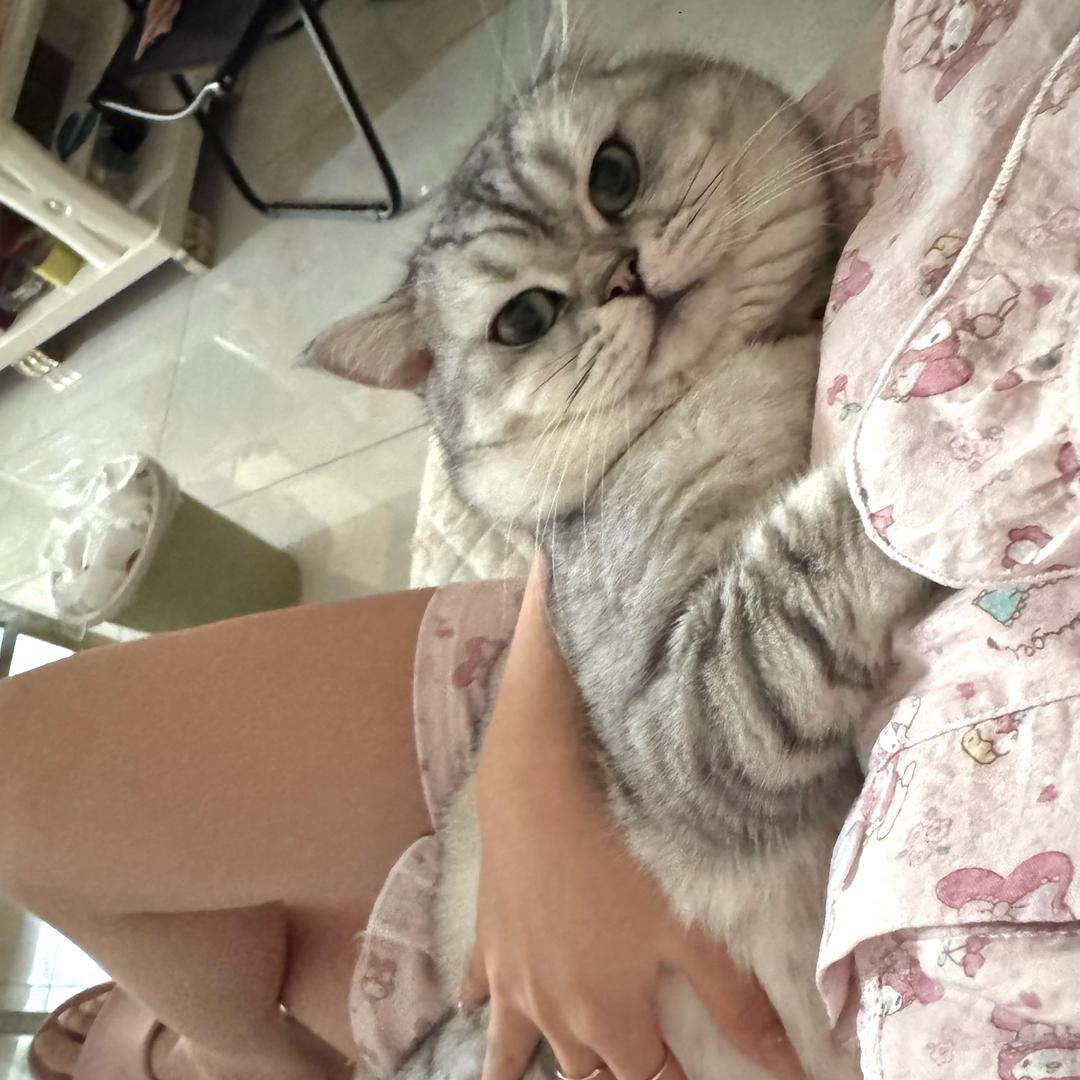 小z