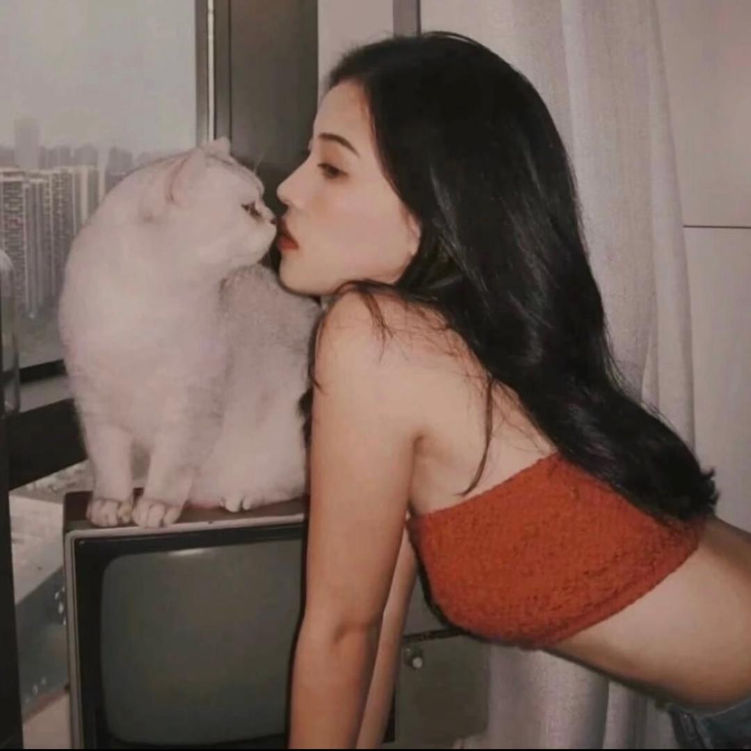 Sosohy