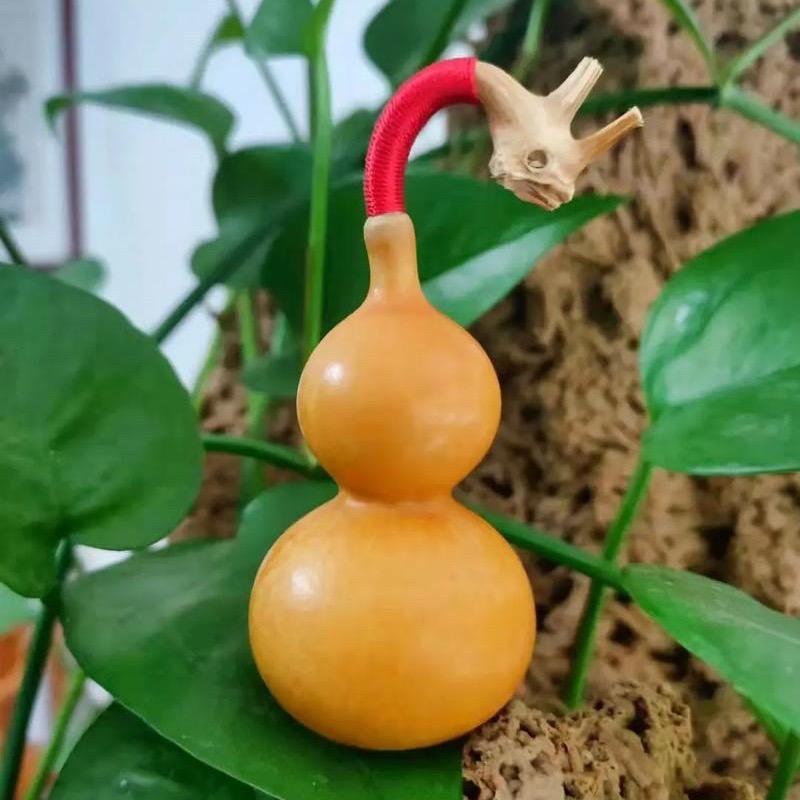 东昌葫芦园