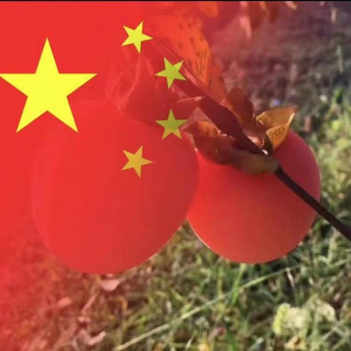 宋池溜达马 土黄牛（招收学员）