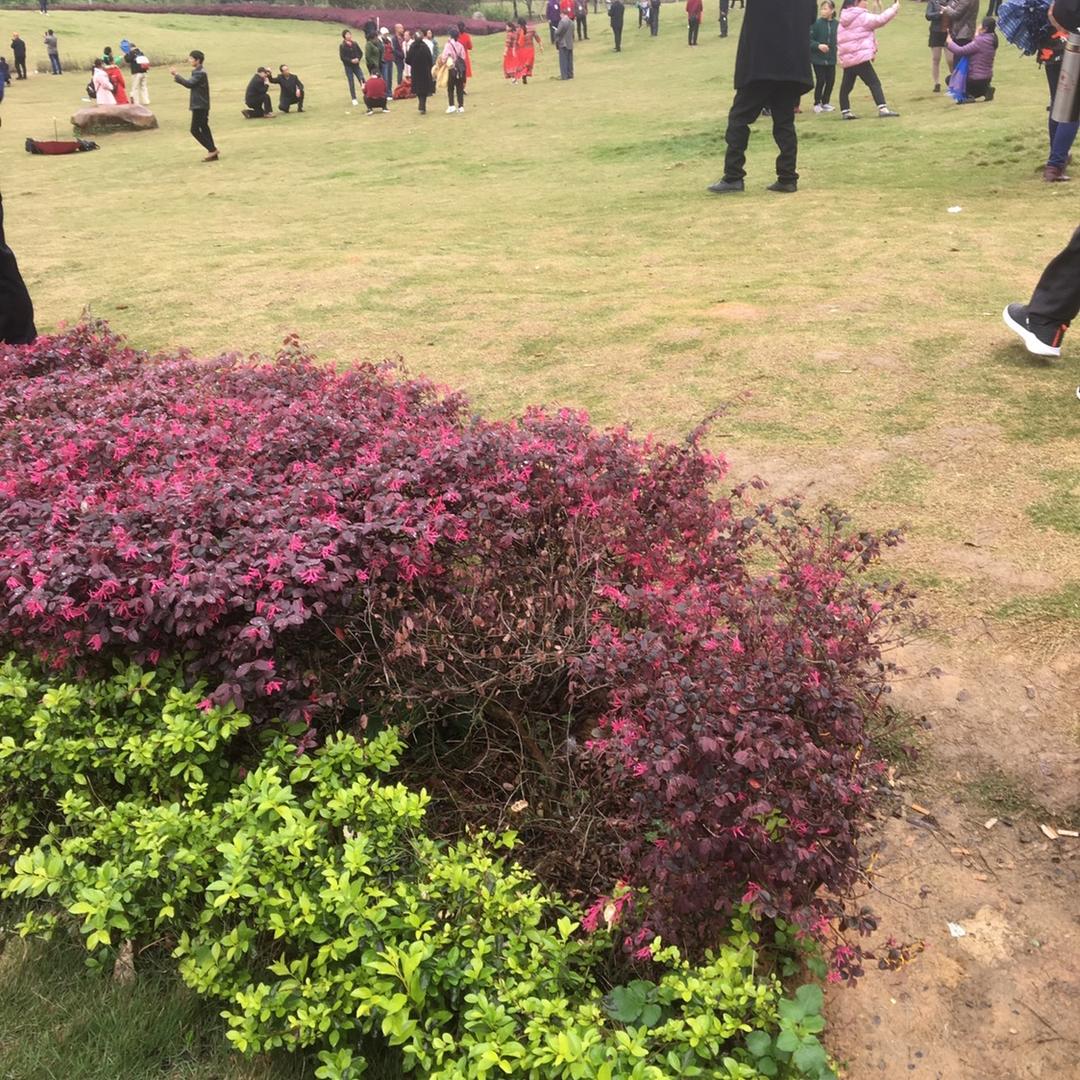 明天会更好