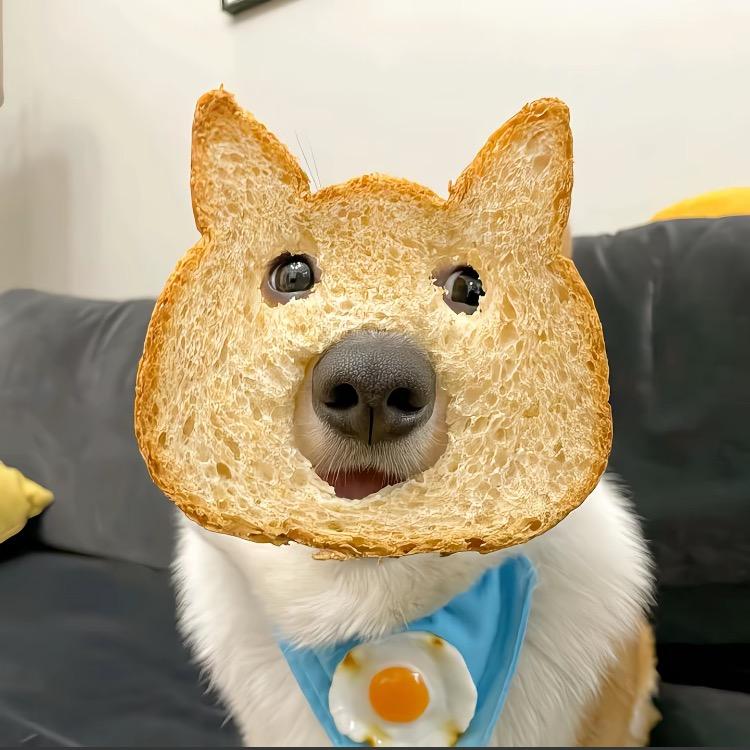面包汪
