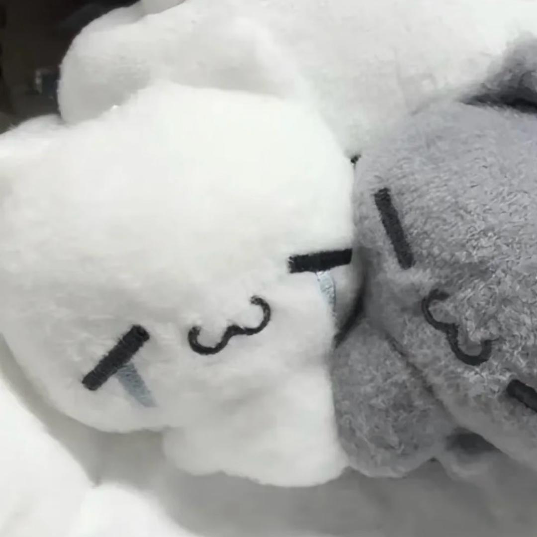 𝙍𝙣-