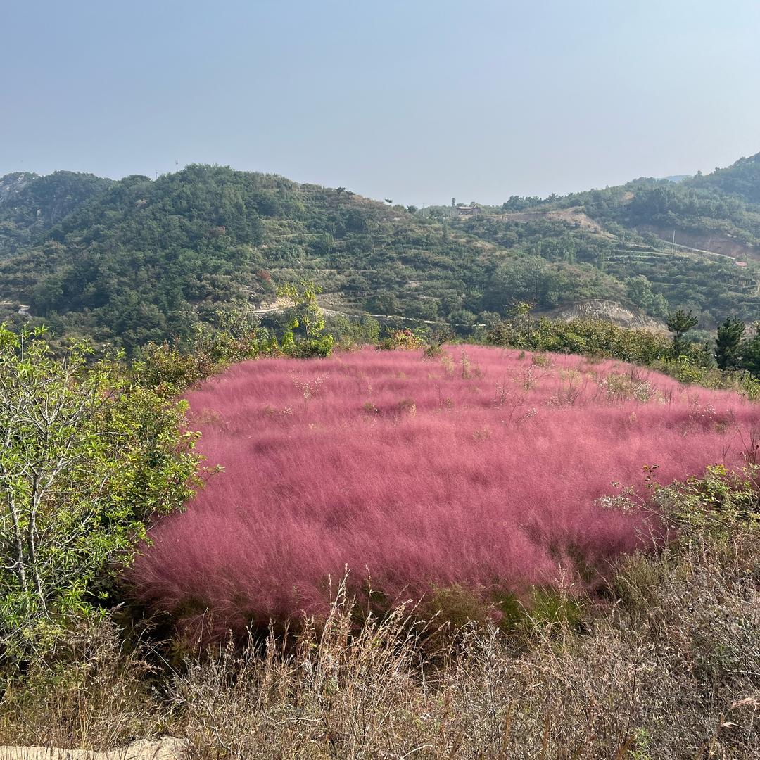 美好乡村