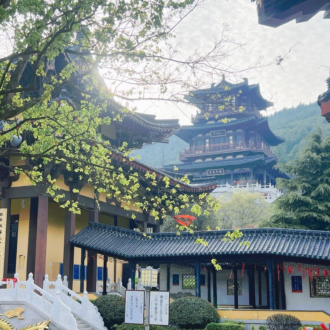 在远方