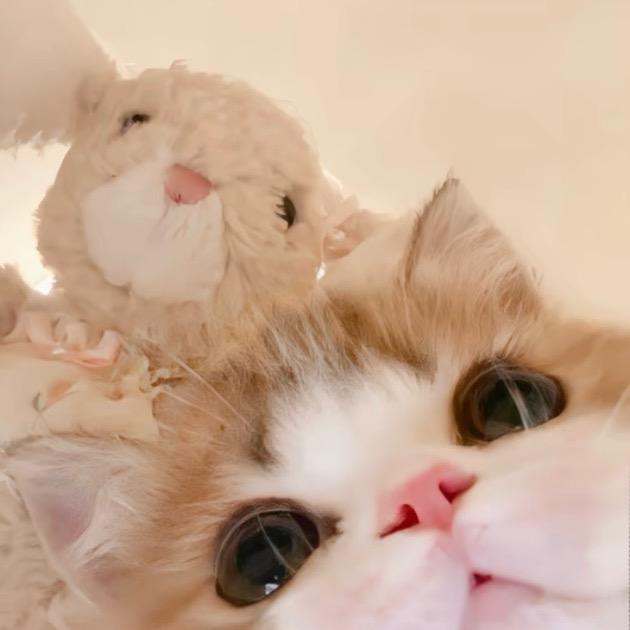 小u
