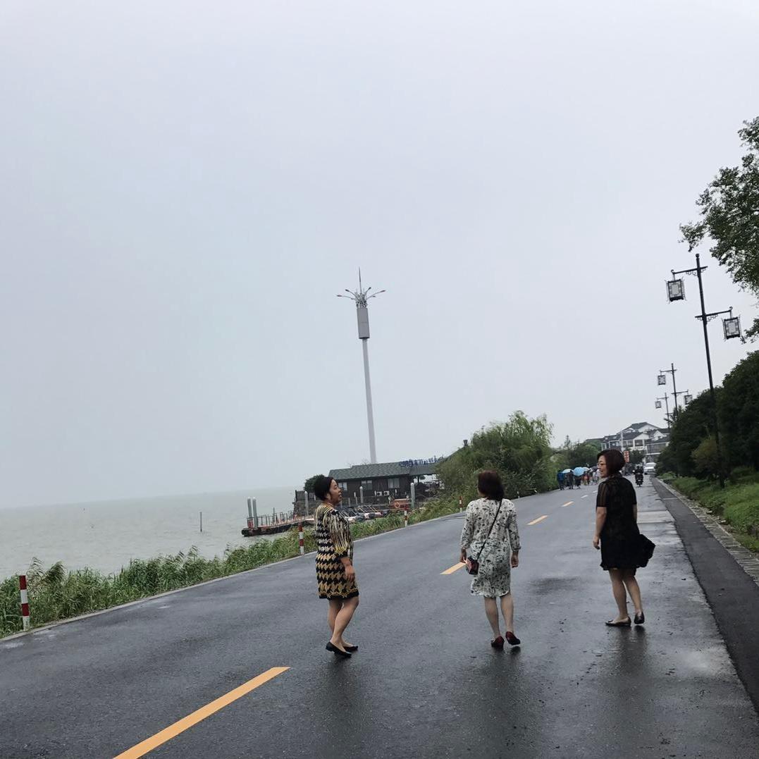 露露