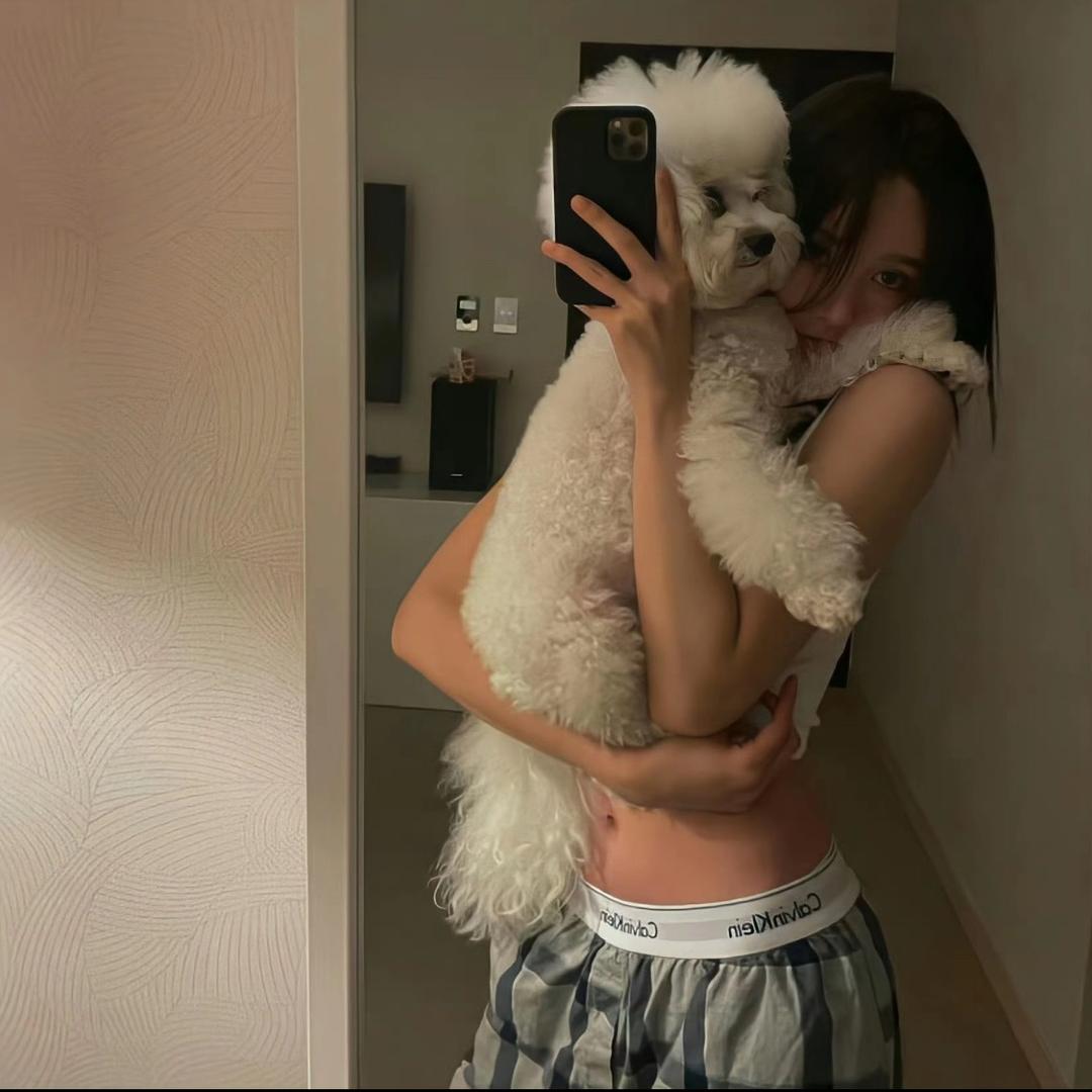 琛琛杳弥