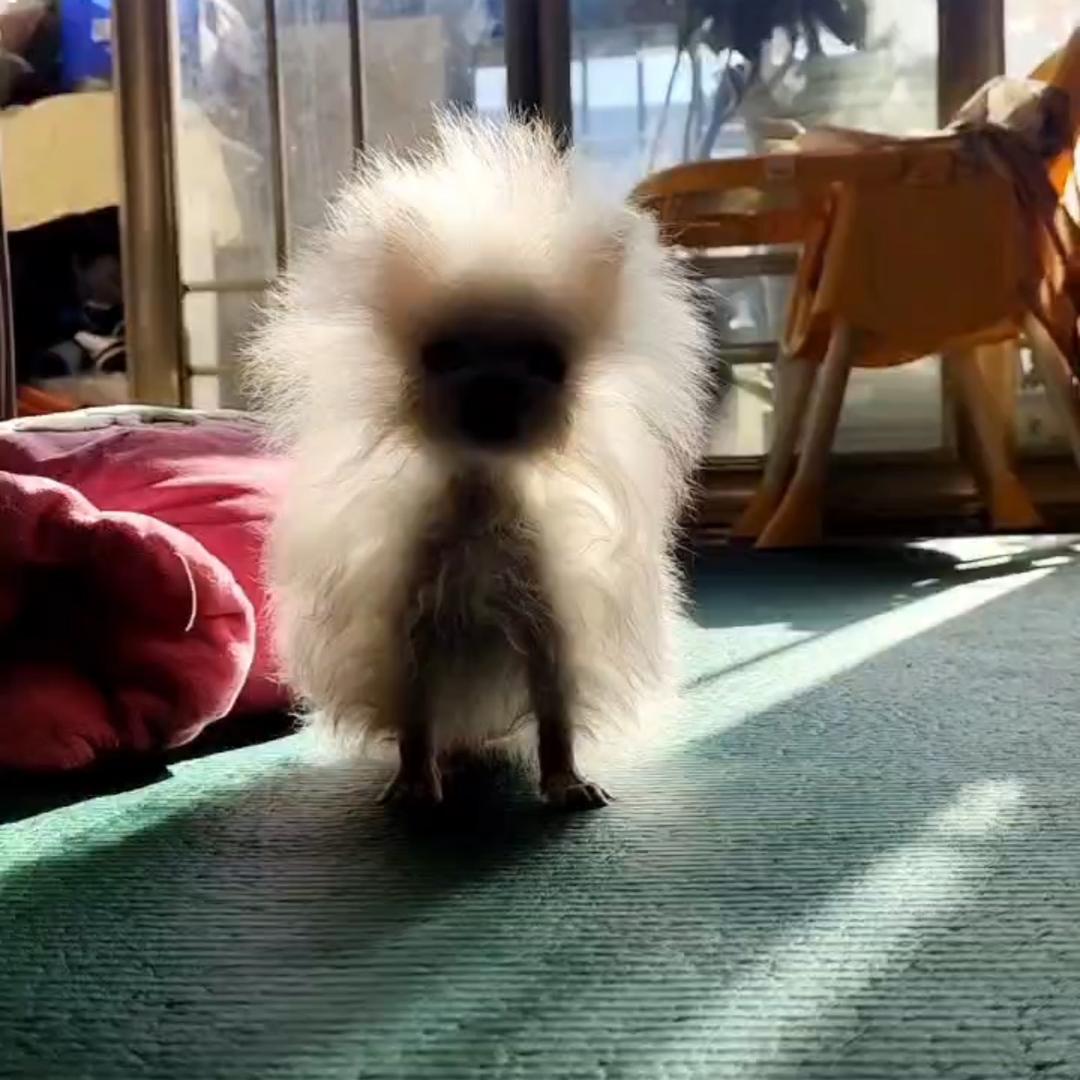 梁三喜