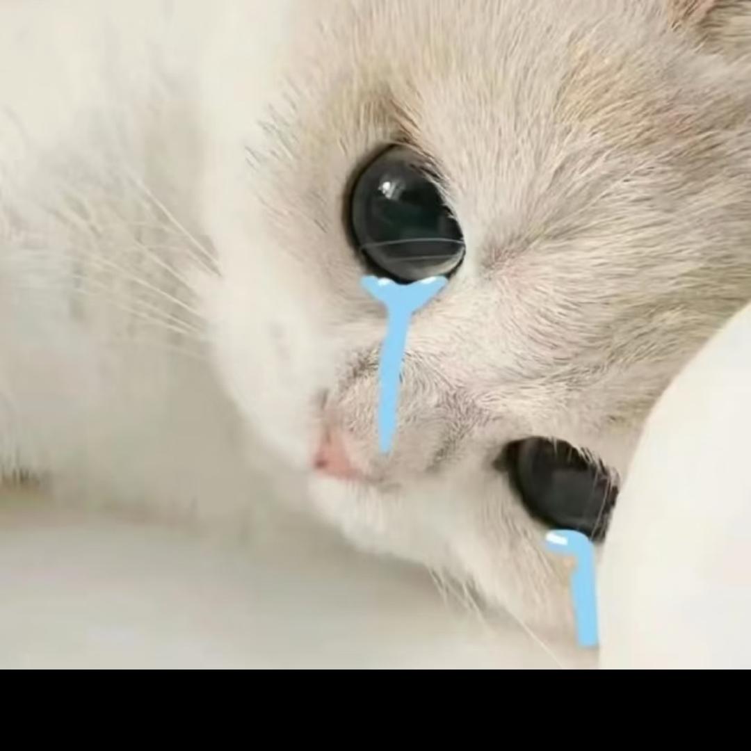 凌晨（115段打野）