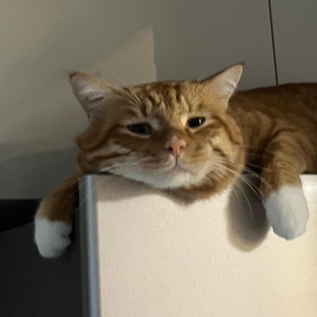 626