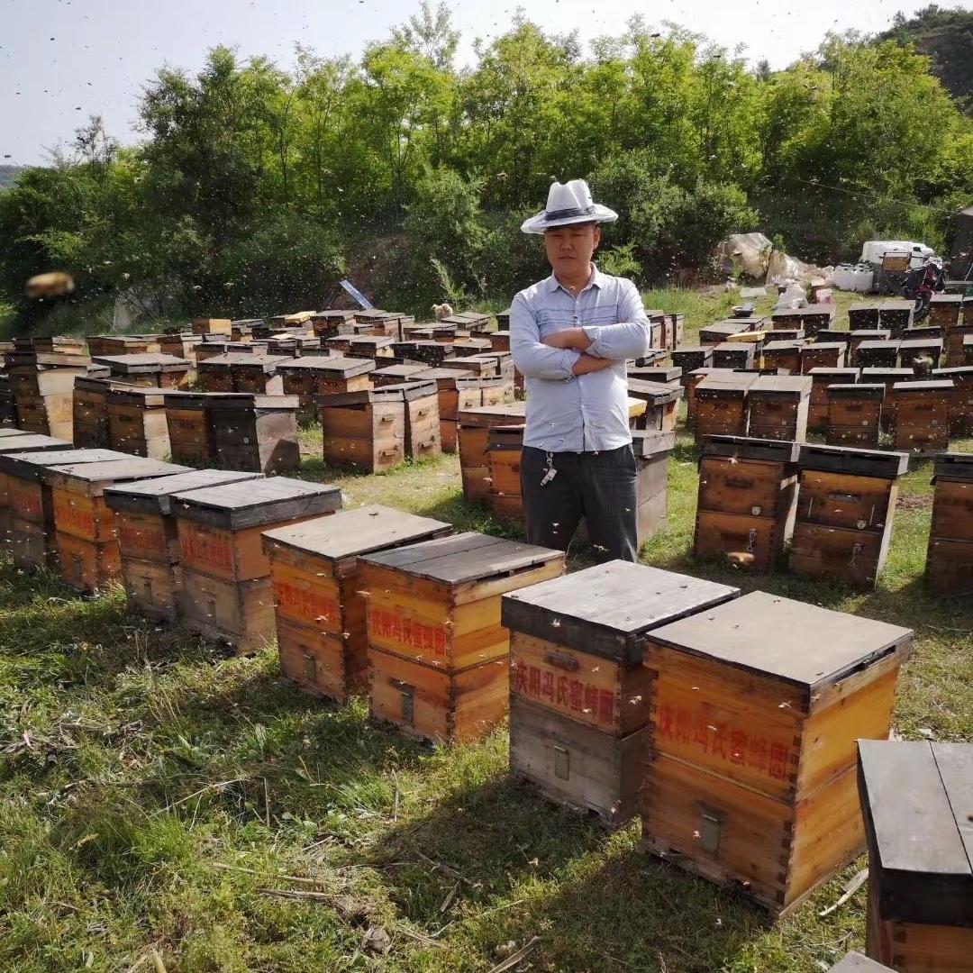 子午岭蜂蜜（产地直发）