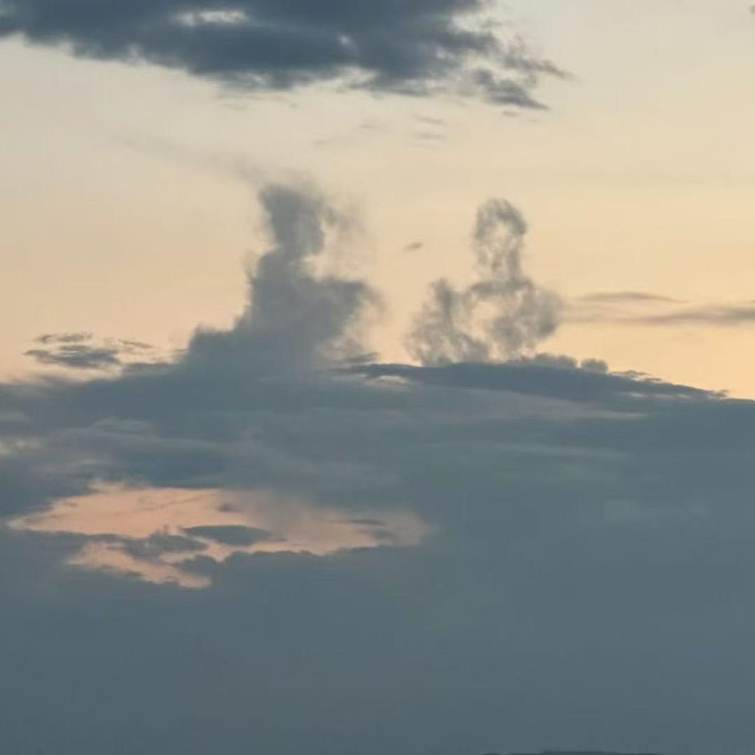 天雅在道观