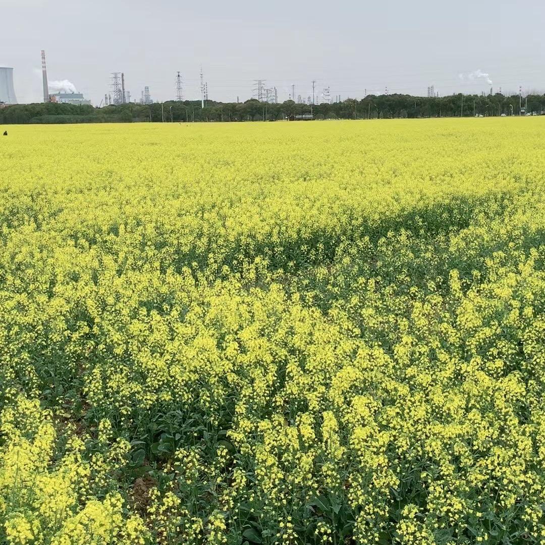 宁波志鑫房地产营销策划有限公司