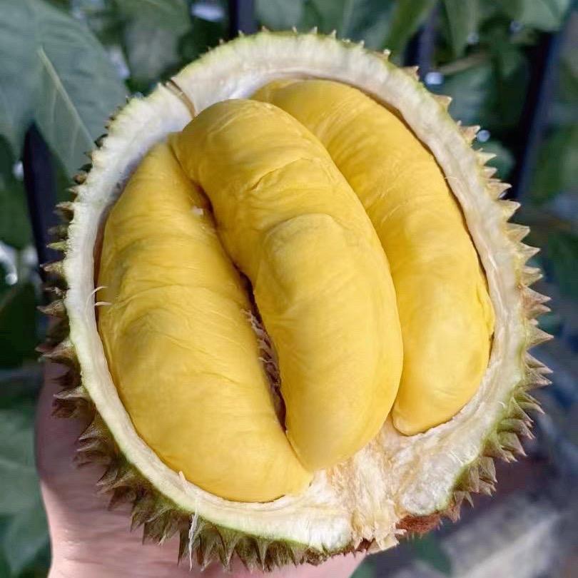 🍓果然有你🍓水果🍊土特产