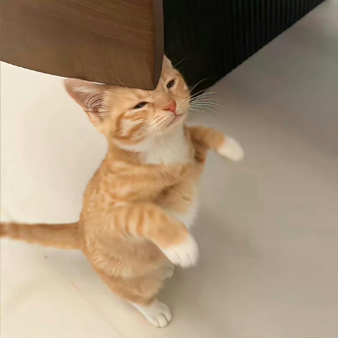 ini