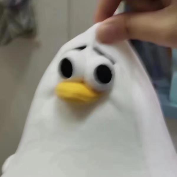 御坂琴琴子