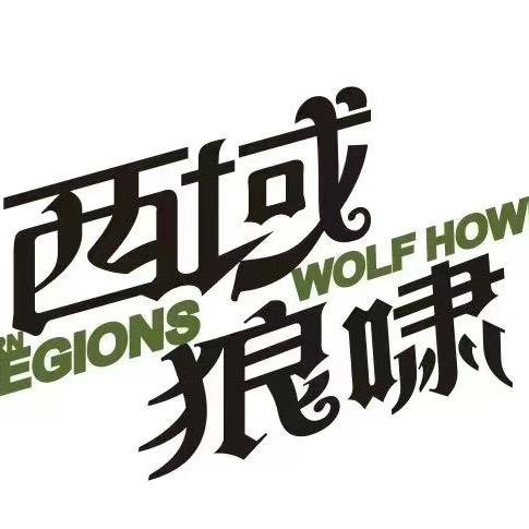 西域狼啸车友俱乐部贴膜改灯案例库