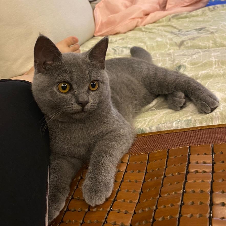 噢噢经路(jing)长