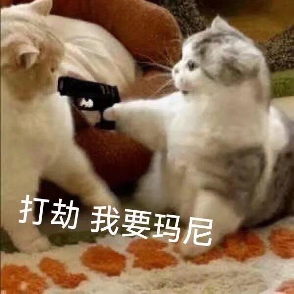 吱哇吱哇乱叫