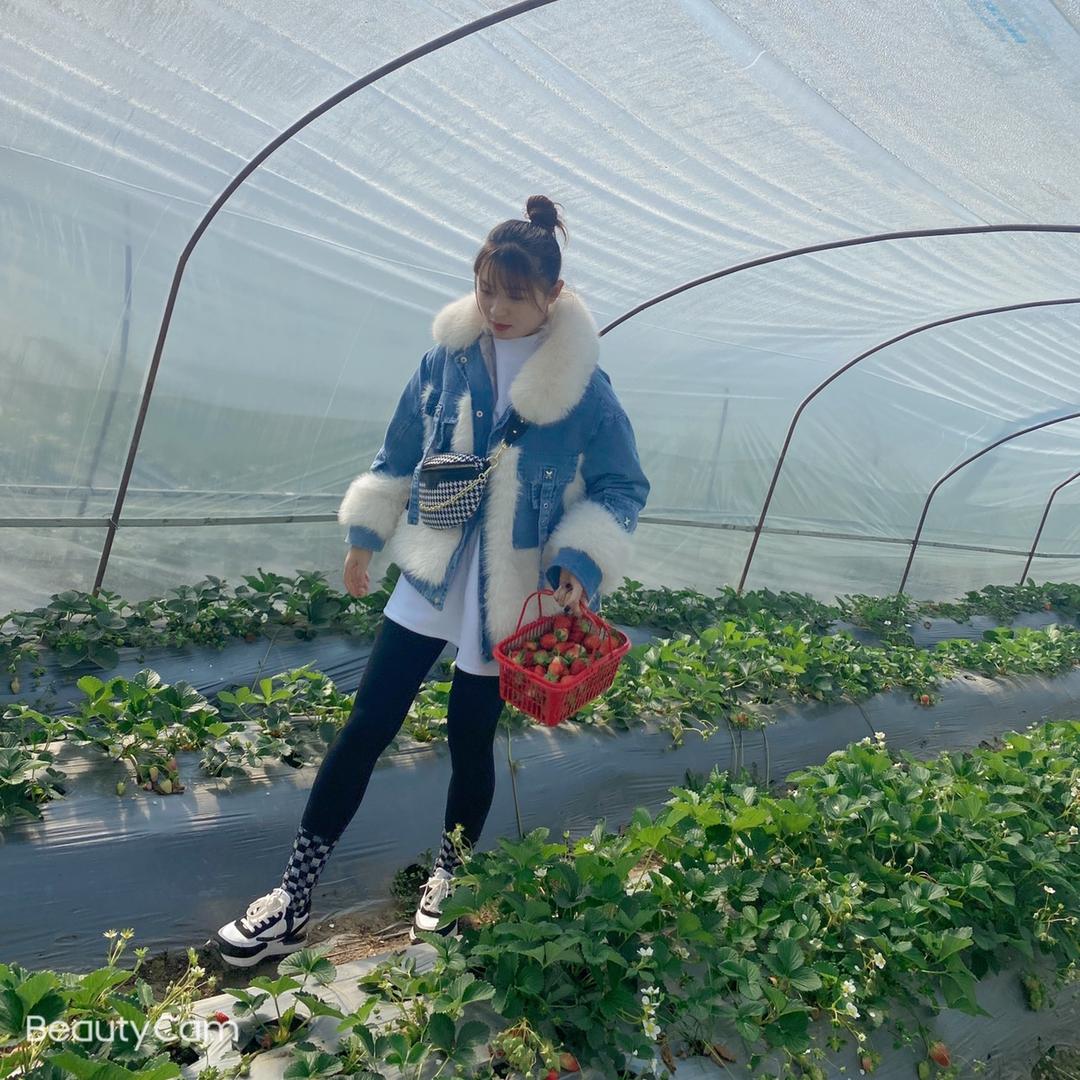 倩妹野生菌批发零售