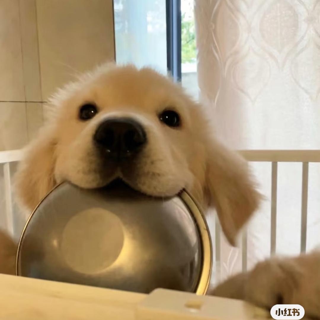 请赐我无尽的夏天