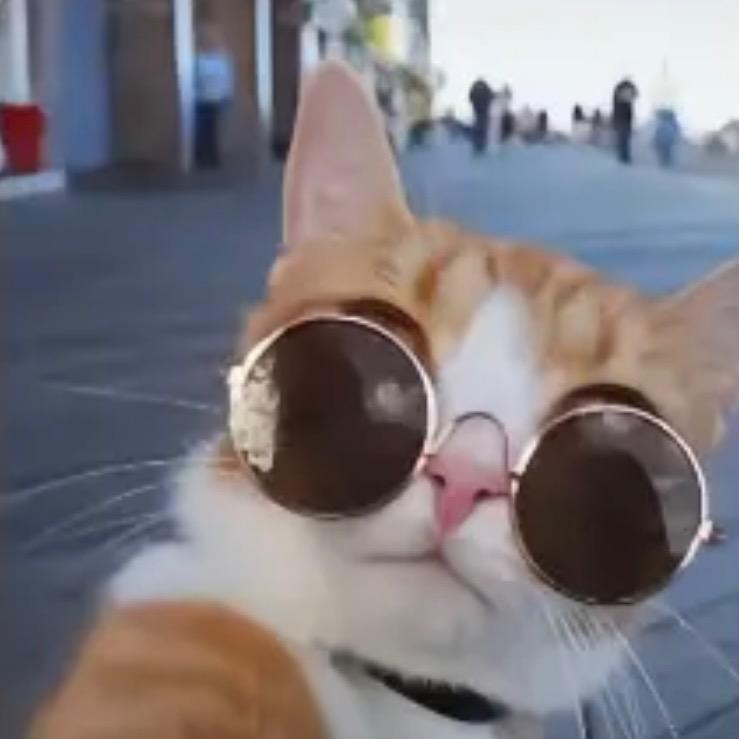 张为天🌈（雷霆战机）