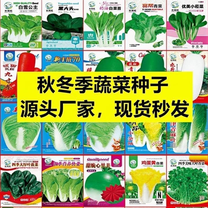 满堂红园艺/蔬菜种子