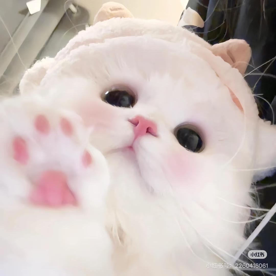 周呓